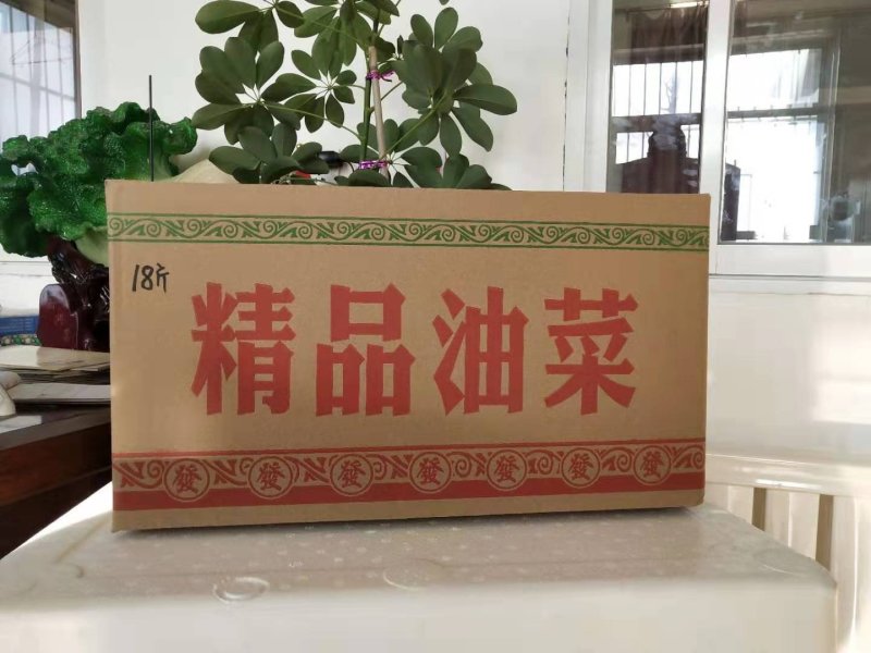 纸箱