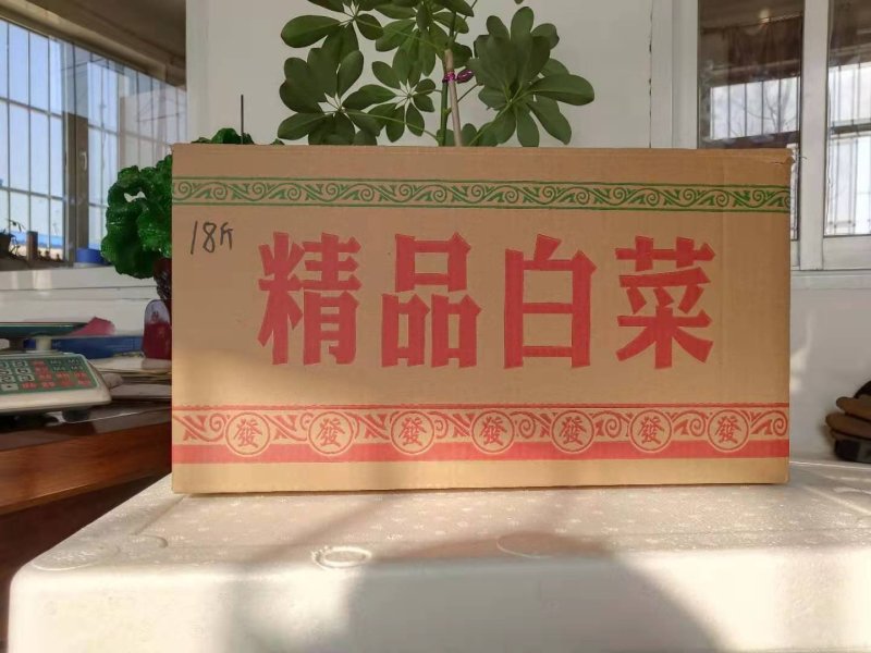 纸箱