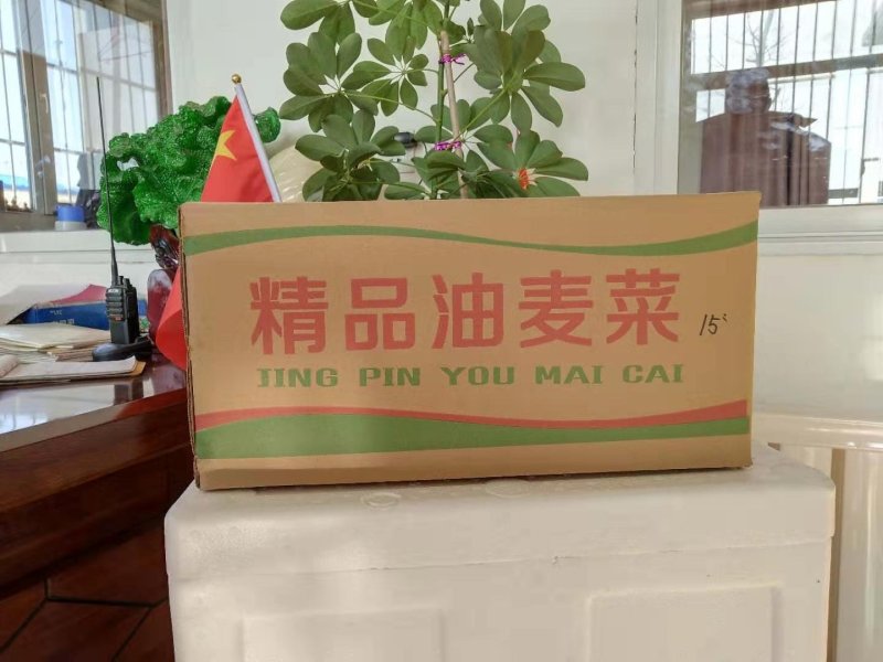 纸箱