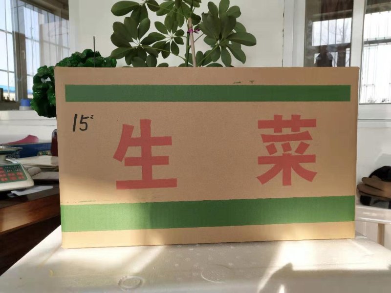 纸箱