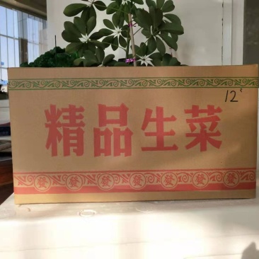 纸箱