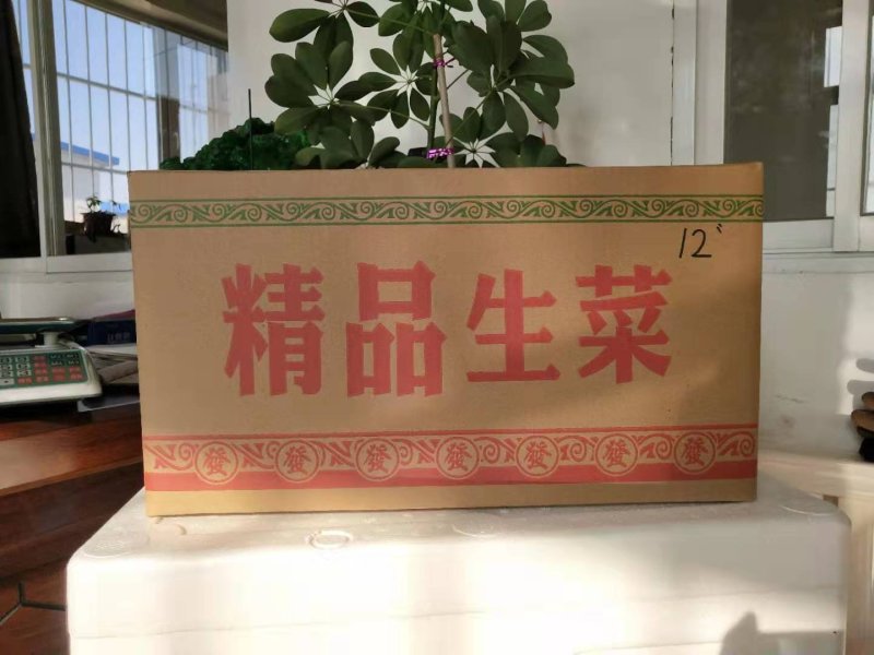 纸箱