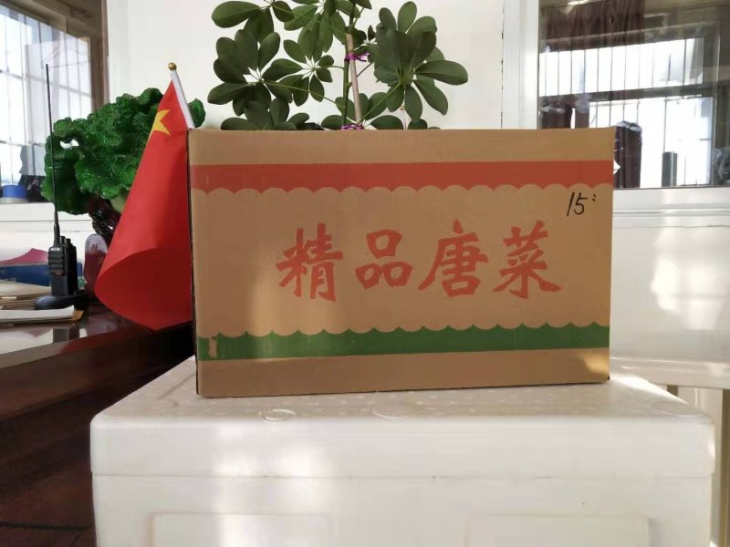 纸箱