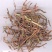 中茜草根血草红茜草血见愁农家优选农副产品