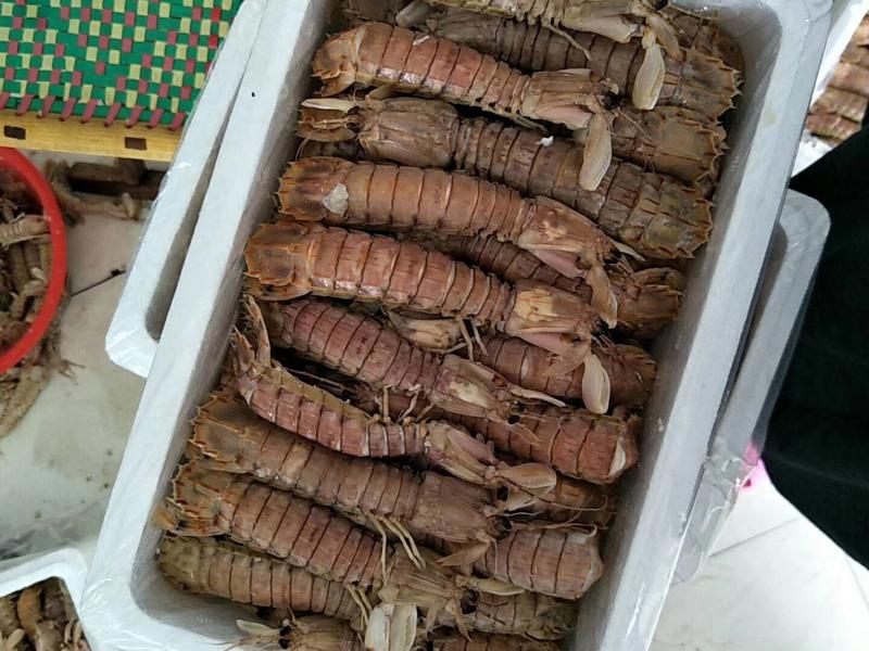 小皮皮虾，椒盐皮皮虾各种规格，自助餐专用