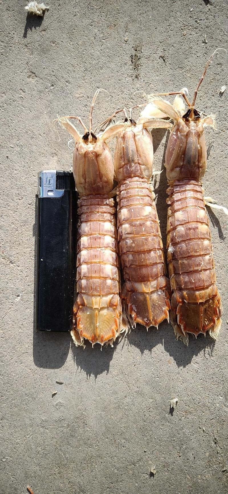 小皮皮虾，椒盐皮皮虾各种规格，自助餐专用