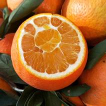 攀枝花特产纽荷尔橙子，橙香味浓，入口化渣