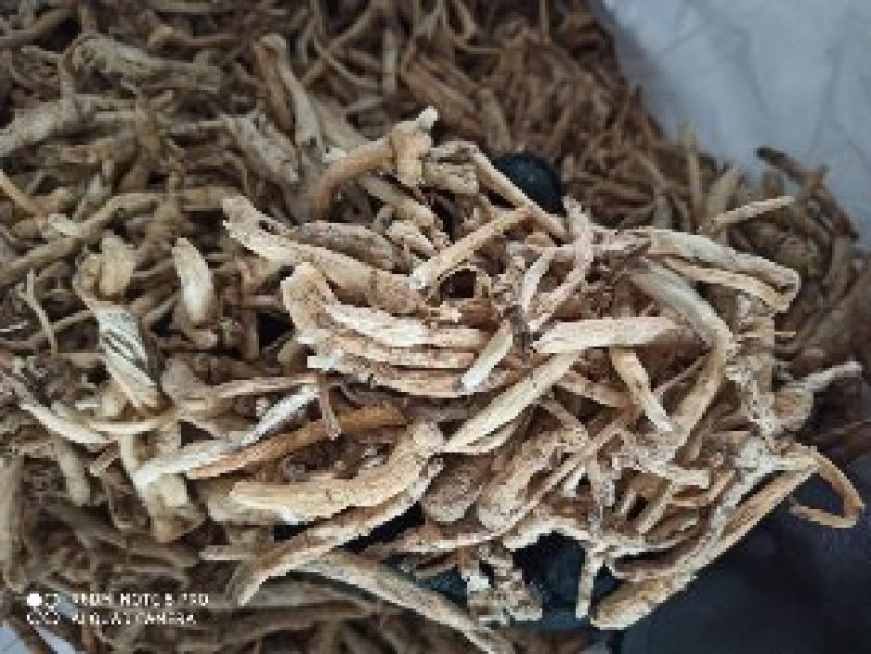 南沙参泡参无硫新货可食用可打粉有好货