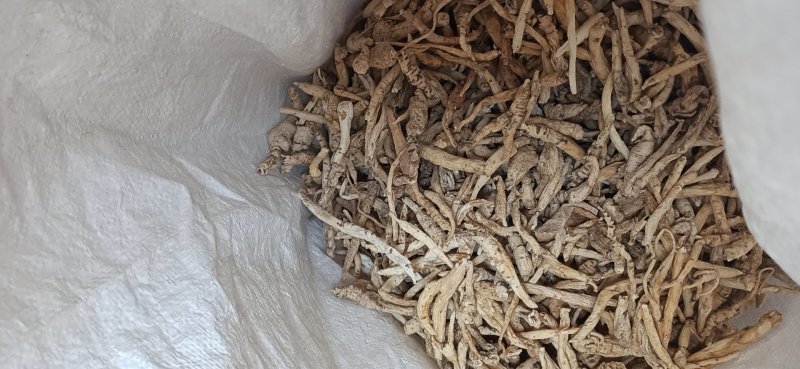 南沙参泡参无硫新货可食用可打粉有好货