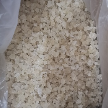 雪燕