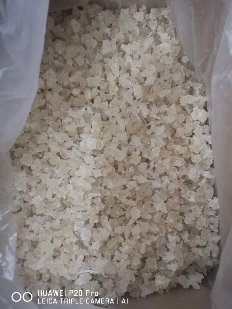雪燕