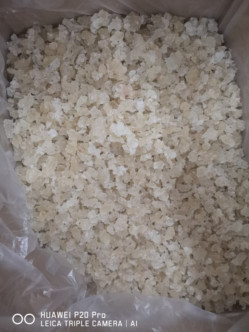 雪燕