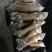 全去骨熟牛蹄筋