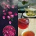 【有好货】平阴玫瑰花冠王，源头产品，产地直供
