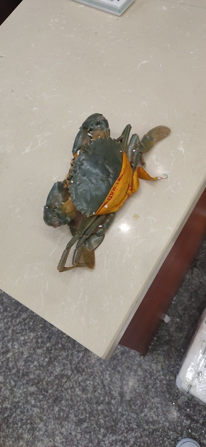 【李小多基地】三门青蟹批发