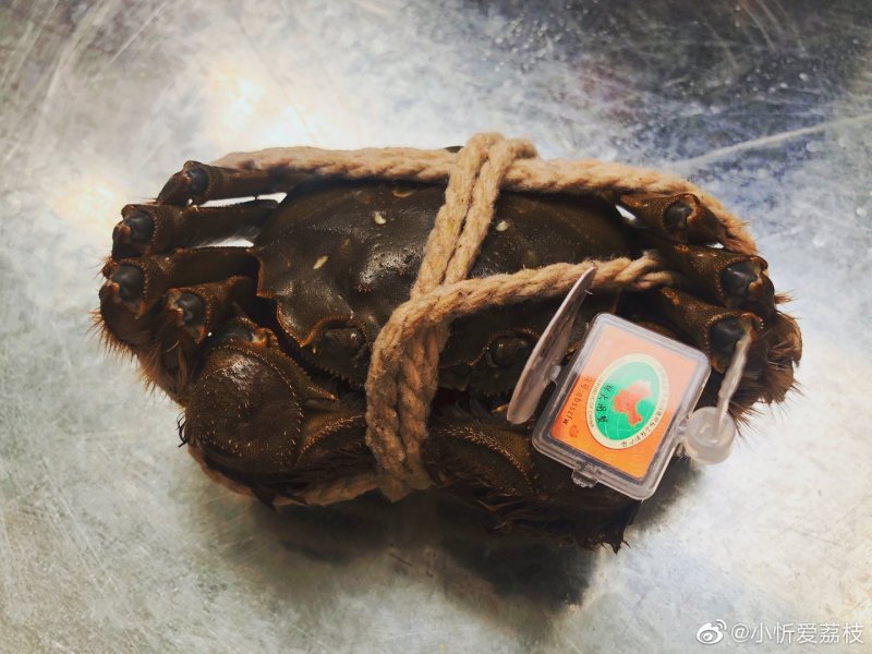 【李小多基地】三门青蟹批发