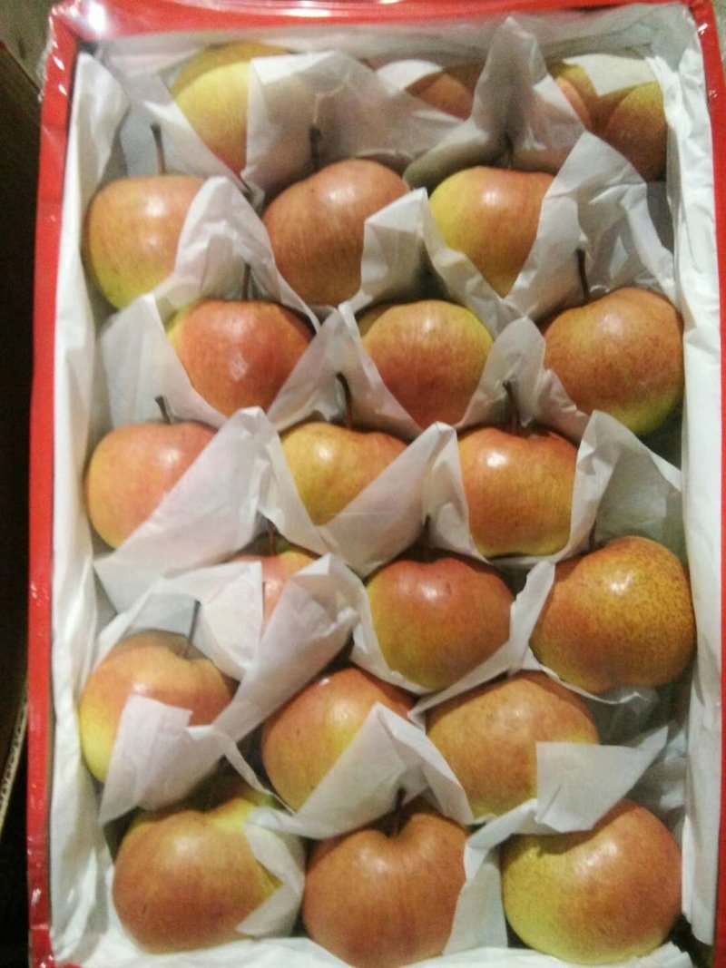 苹果梨质量保证口感甜脆皮毛增靓货品齐全