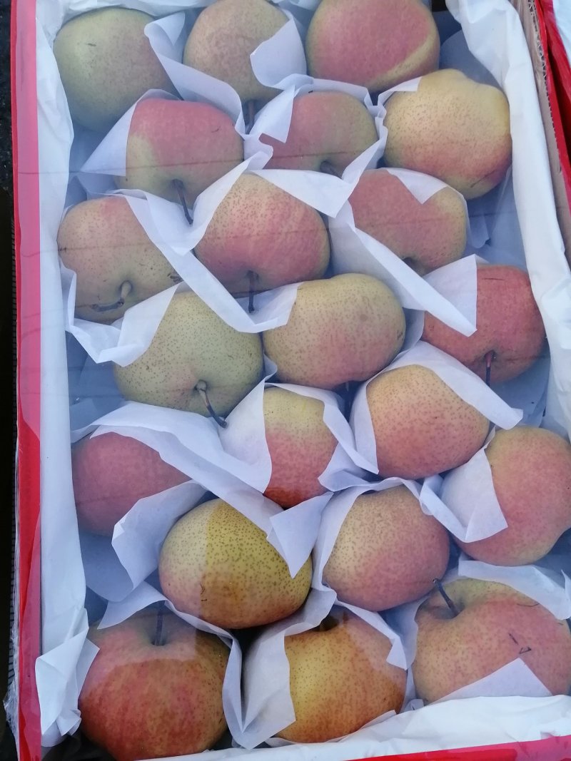 苹果梨质量保证口感甜脆皮毛增靓货品齐全