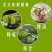 霍山石斛铁皮石斛石斛枫斗，合作社自产，可以打粉