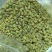 霍山石斛铁皮石斛石斛枫斗，合作社自产，可以打粉