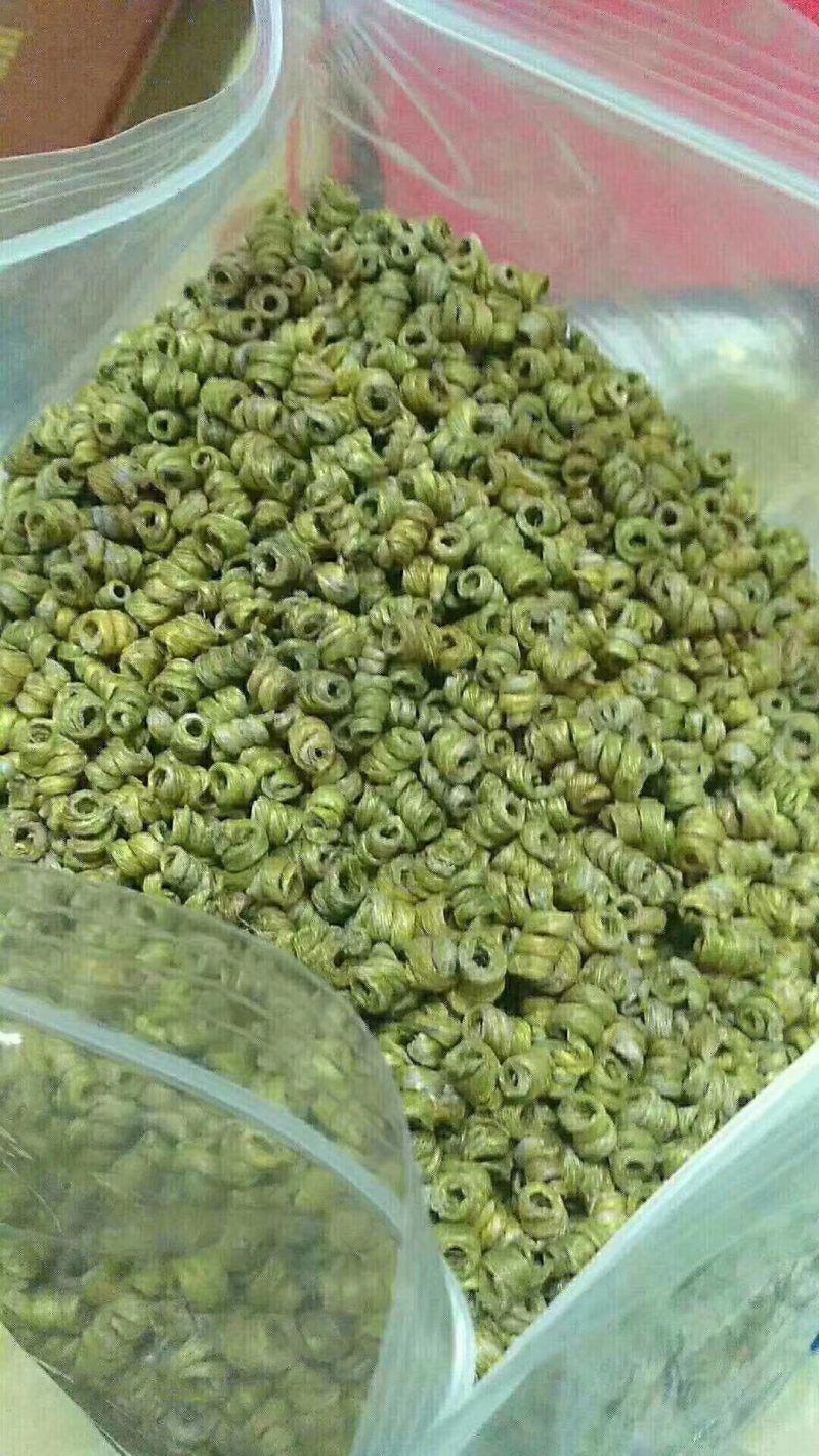 霍山石斛铁皮石斛石斛枫斗，合作社自产，可以打粉