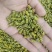 霍山石斛铁皮石斛石斛枫斗，合作社自产，可以打粉
