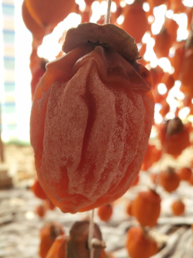吊饼霜饼降霜柿子饼红饼