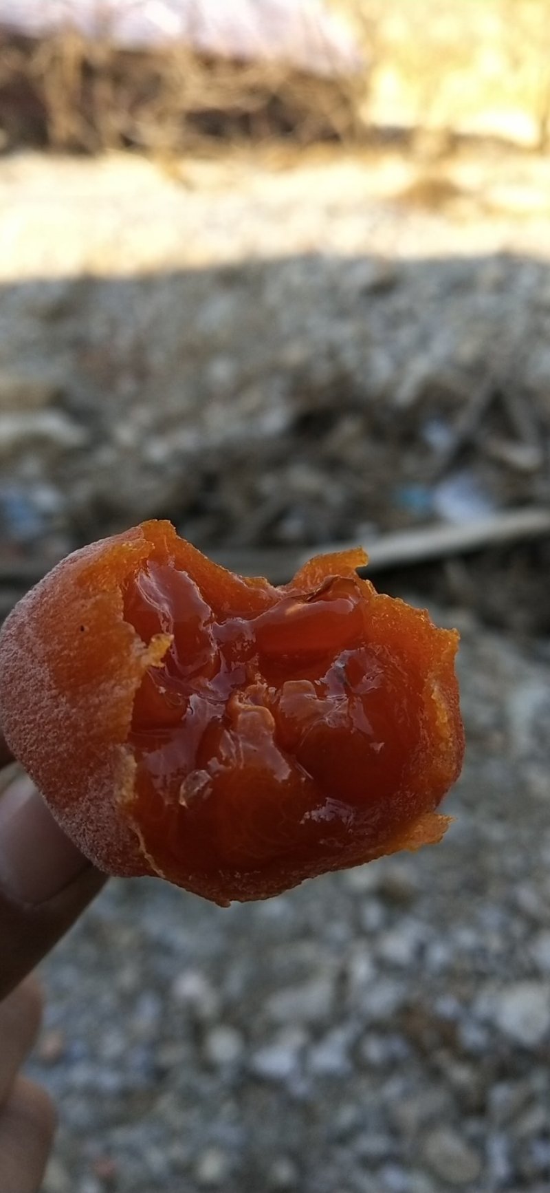 吊饼霜饼降霜柿子饼红饼