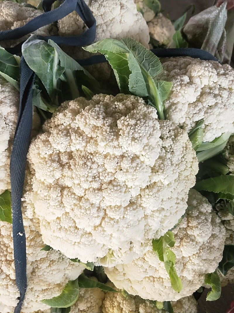青梗散花，大量上市