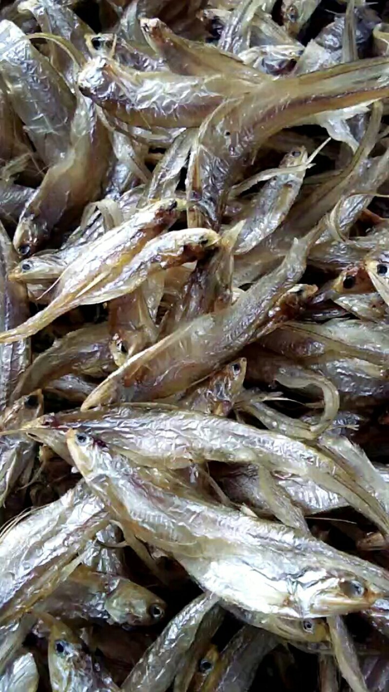 淡水无盐毛刀鱼干，刀鱼，