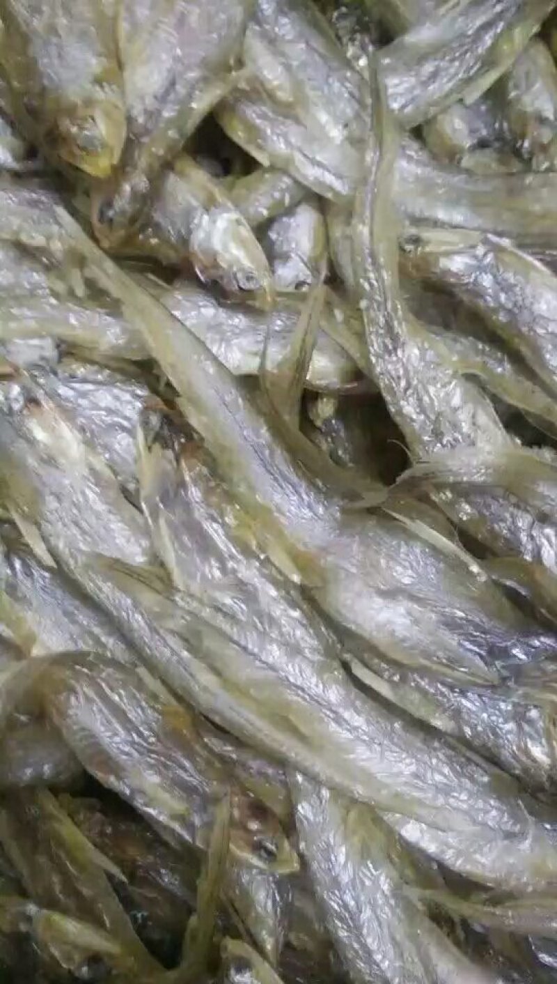 淡水无盐毛刀鱼干，刀鱼，