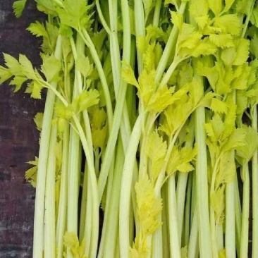 芹菜