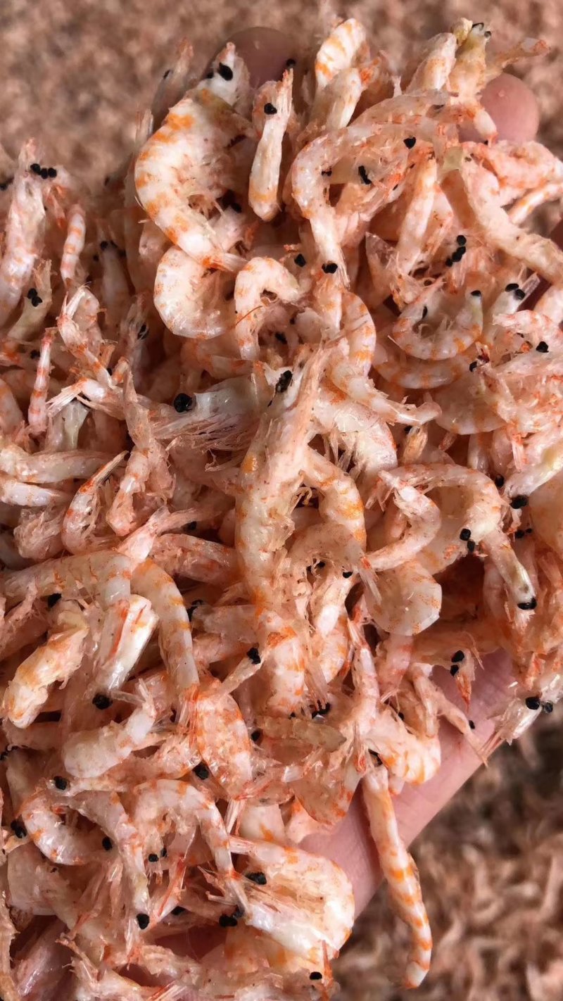 磷虾磷虾南极磷虾磷虾磷虾磷虾