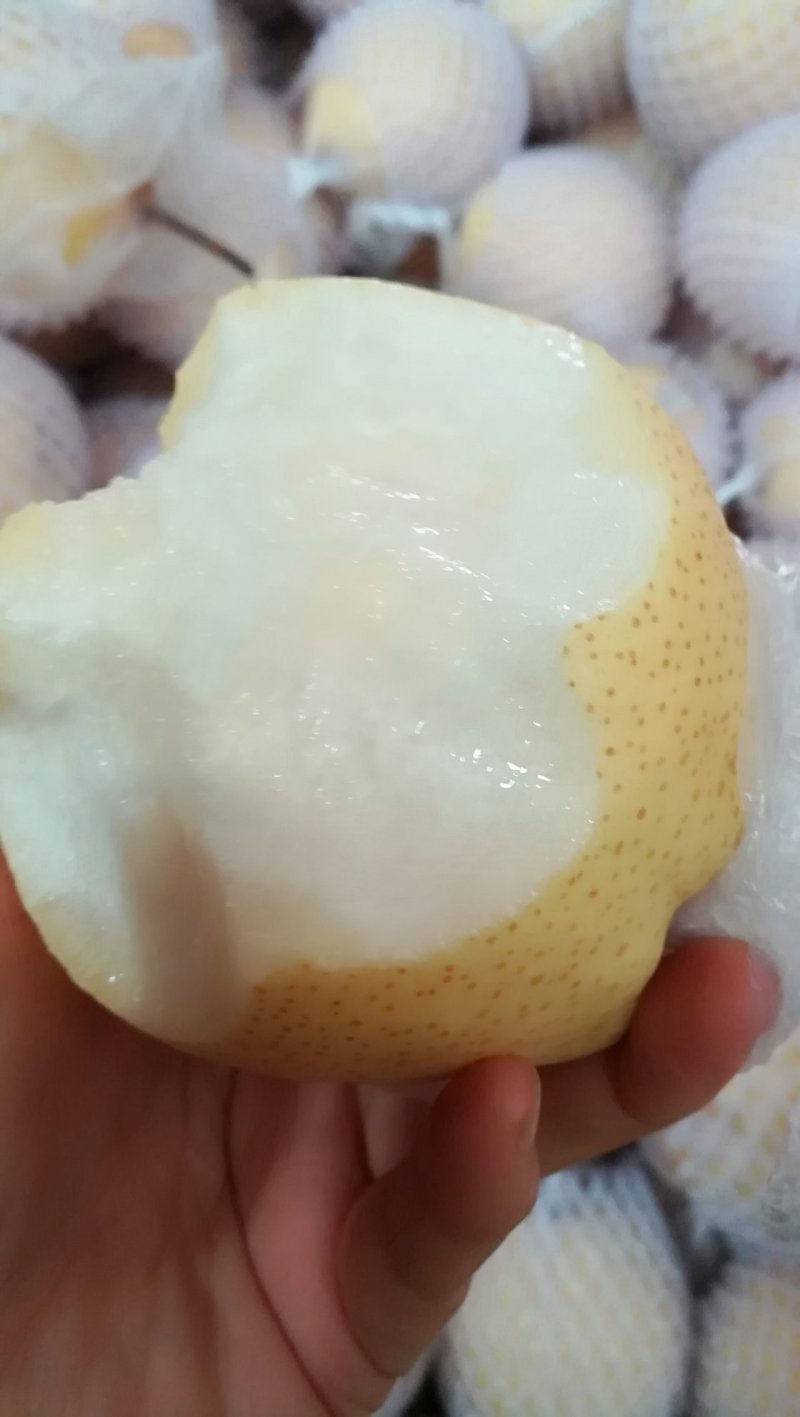 酥梨陕西礼泉小河酥梨地理标识