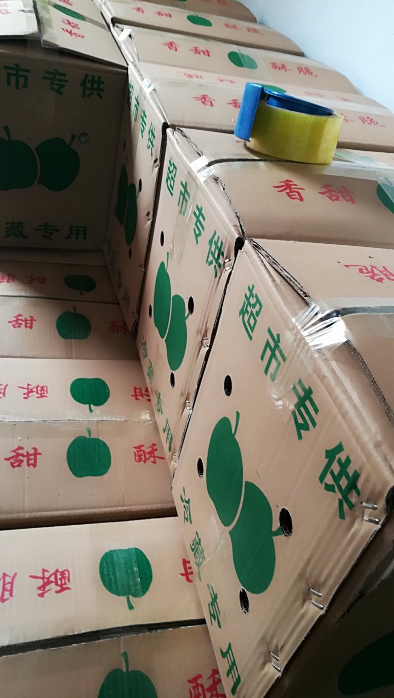 酥梨陕西礼泉小河酥梨地理标识