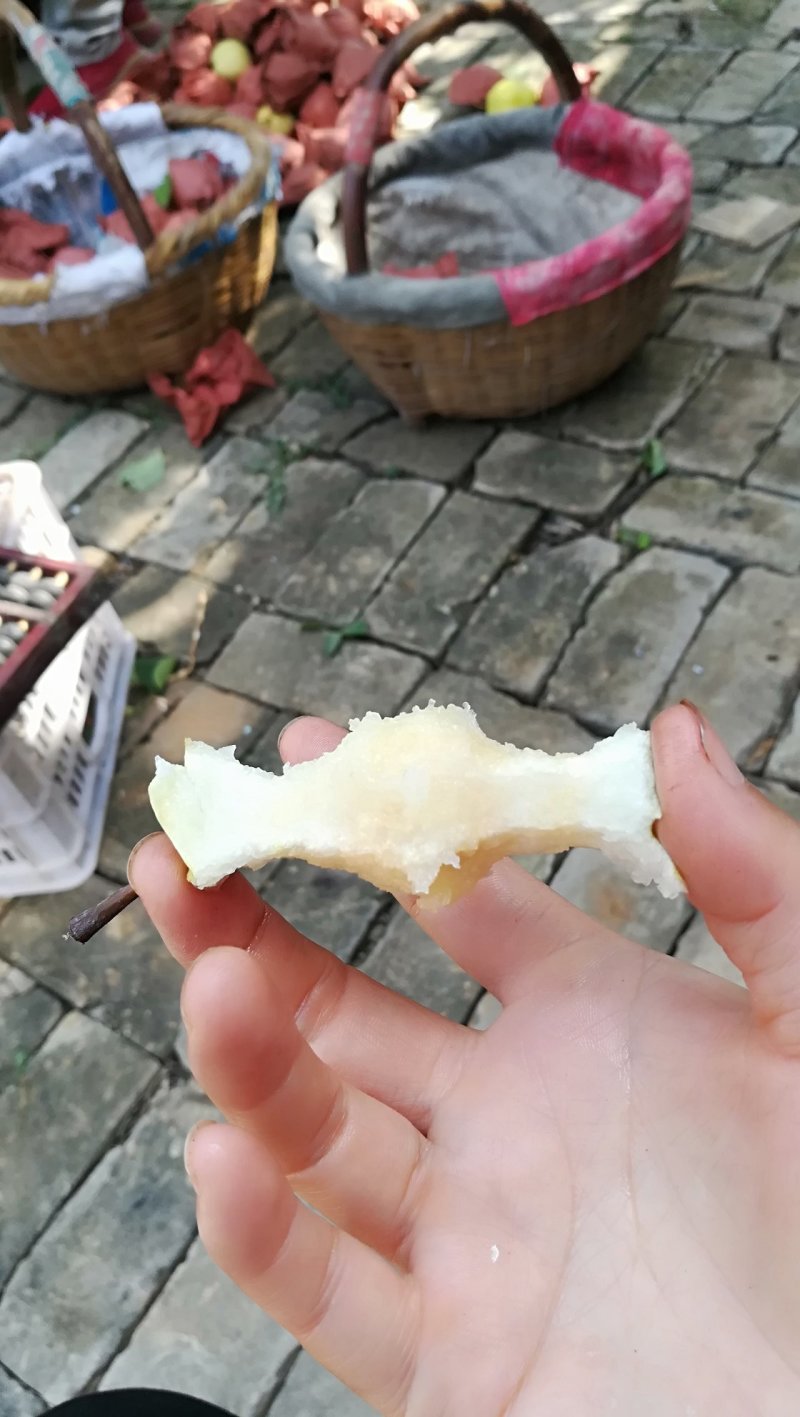 酥梨陕西礼泉小河酥梨地理标识