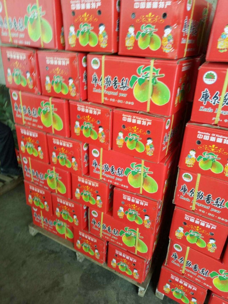 红香酥梨光果箱装随时有货日发货万斤以上诚信经营