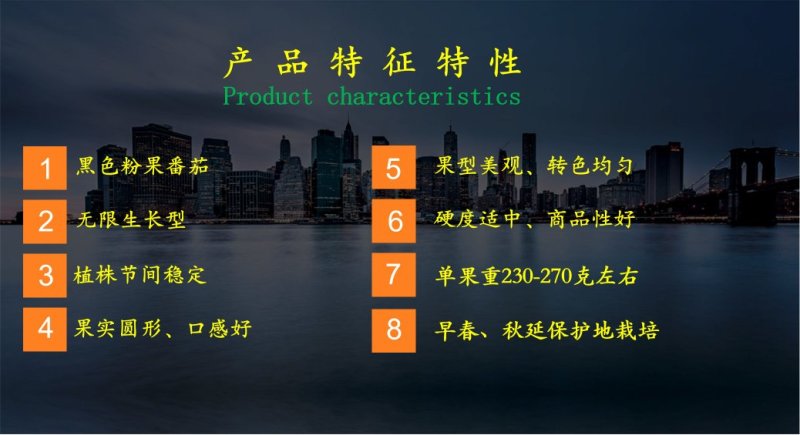 口感西红柿种子乾德黑粉圆形无限生长果实黑粉色