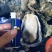 生蚝肉，大中小三种规格每袋3斤装现开现卖