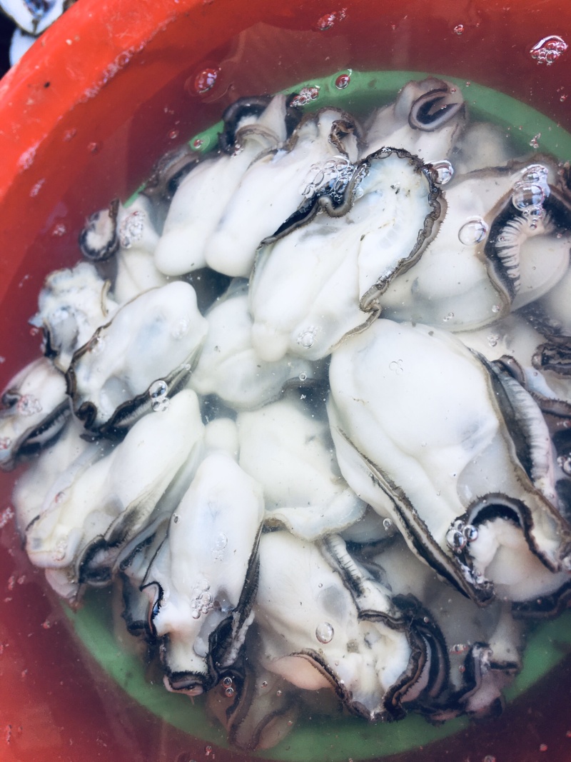生蚝肉，大中小三种规格每袋3斤装现开现卖