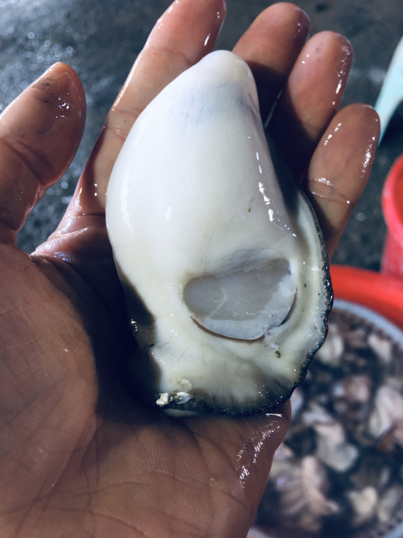 生蚝肉，大中小三种规格每袋3斤装现开现卖