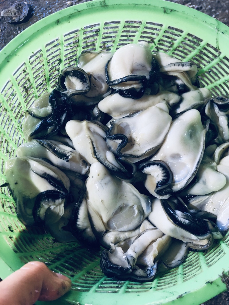 生蚝肉，大中小三种规格每袋3斤装现开现卖