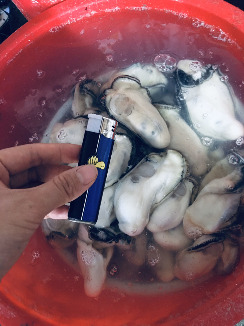 生蚝肉，大中小三种规格每袋3斤装现开现卖