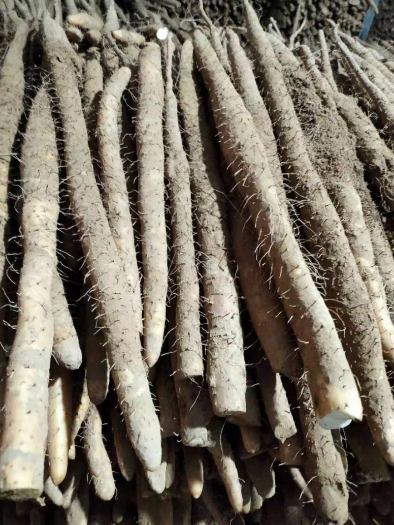 山药河北铁棍山药，双棒，白嘴，条形好，装车快，一手货源
