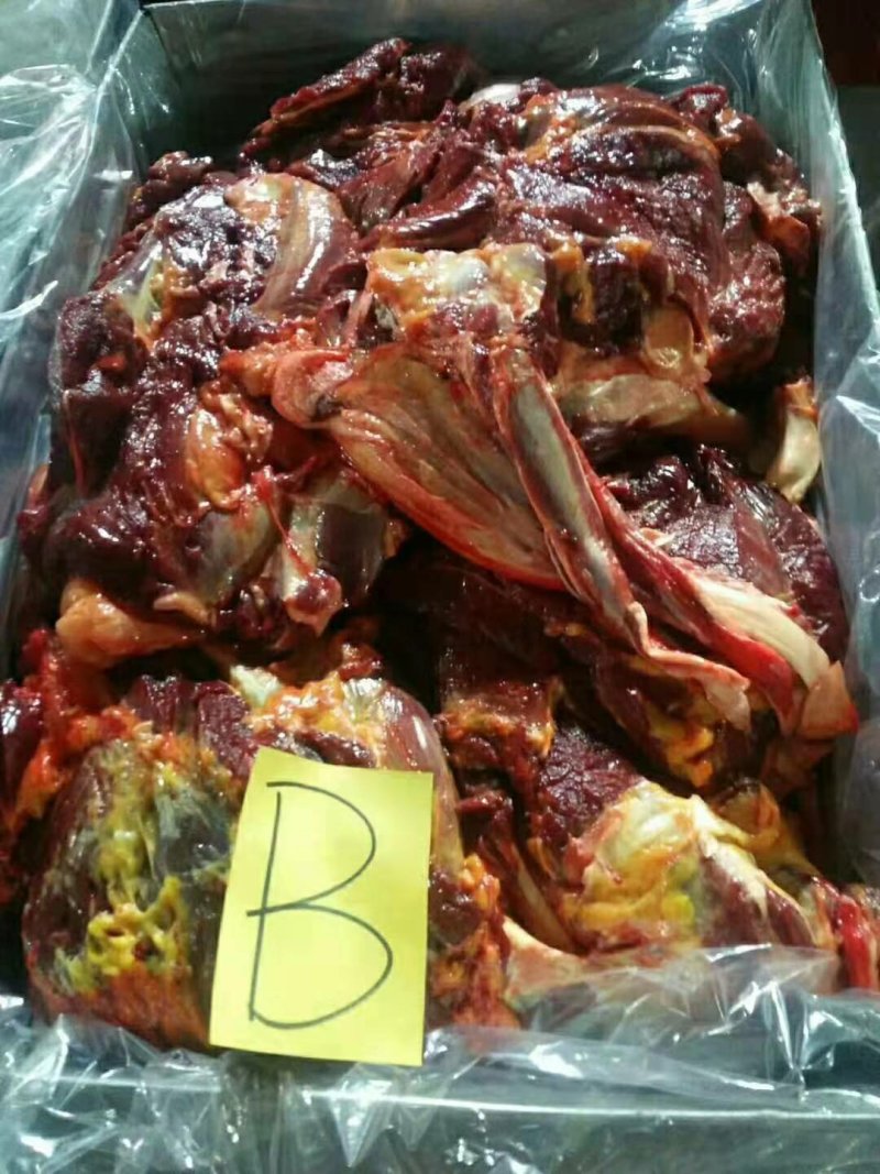 马前腿蒙古进口马肉