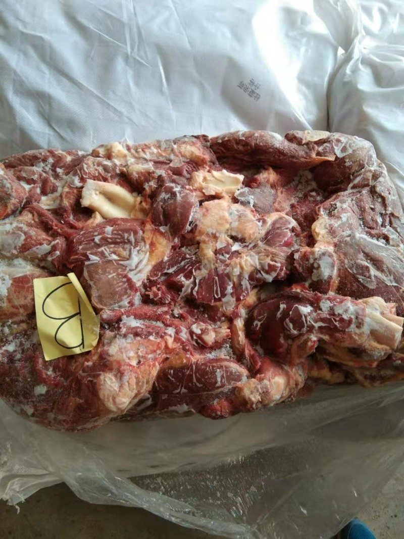 马前腿蒙古进口马肉