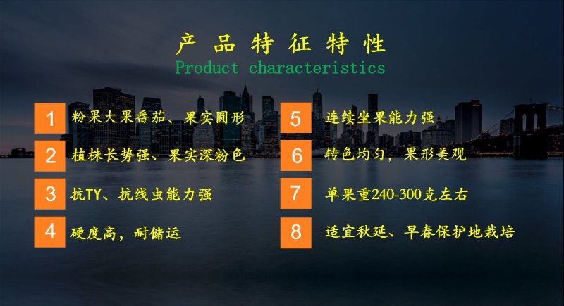 乾德圣德西红柿种子粉果大果圆形番茄种子果型美观