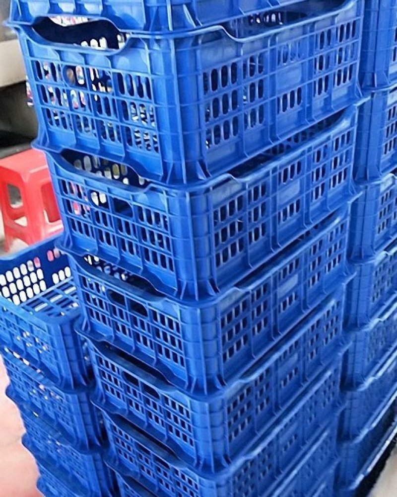 一次15-16斤塑料筐厂家直销量大从优，价格漂亮
