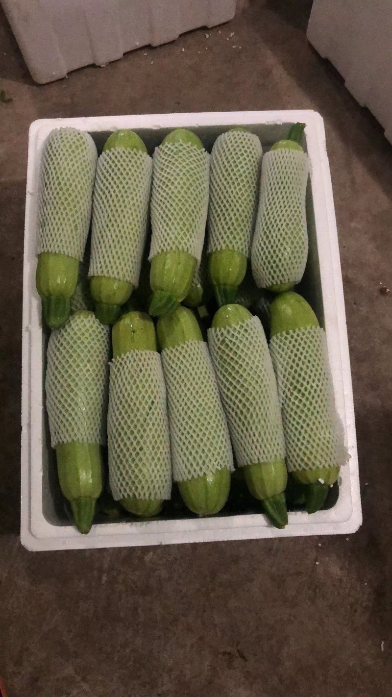 西葫芦，，，，，，，，