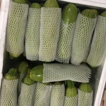 西葫芦，，，，，，，，